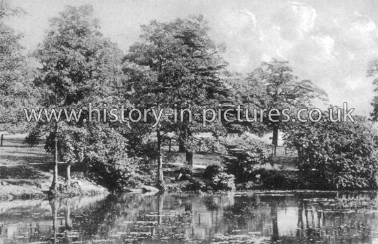 Highams Park Lake, Chingford, London. c.1908.